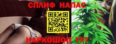 шишки Брянск