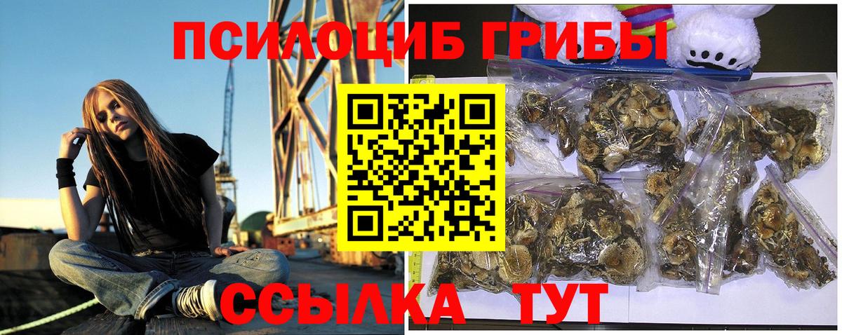 Псилоцибиновые грибы Psilocybe Магнитогорск